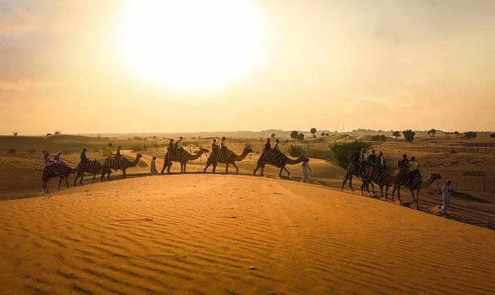 Dubai: Sunset Camel Trek, Al Khayma Camp, Stargazing & BBQ