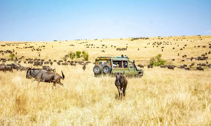 7-Day Safari Tour in Tanzania