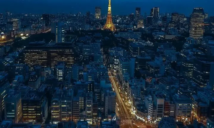Private Amazing Tokyo Night Tour with English Speaking Driver