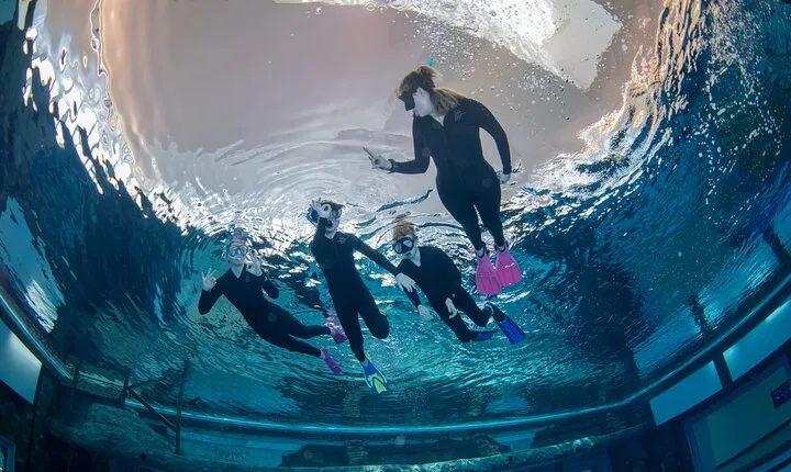 Deep Dive Dubai Discover Snorkelling 