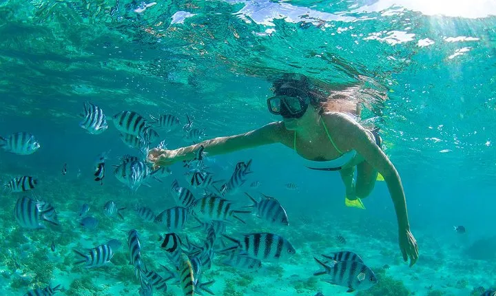Cabo Pulmo National Park Snorkel Expedition from Cabo San Lucas