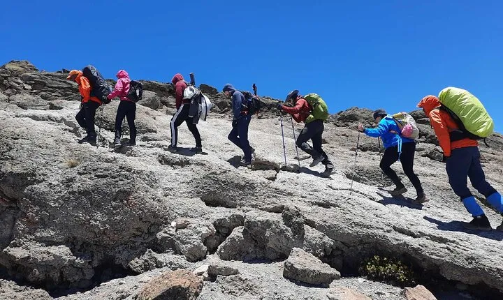 Private Mt Kilimanjaro Full Day Hike -Mandara