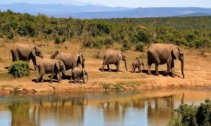 Day trip - Tarangire National Park