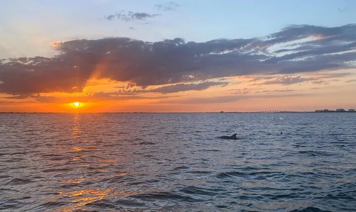 Sunset and Dolphin Cruise around Fort Myers Beach