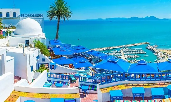 Private Tour Bardo Museum, Carthage, Sidi Bou Said and Medina
