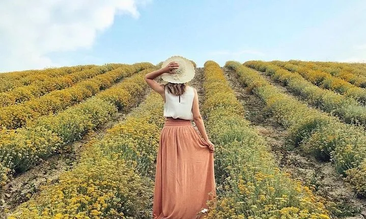Immortelle farm island Krk