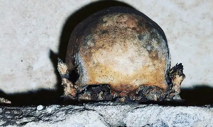 The Skull with the Ears: the Cult of the Dead in the Church of S. Luciella