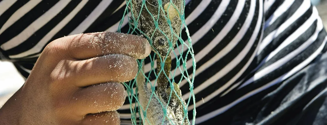 Kefalos Bay boat trip with lunch