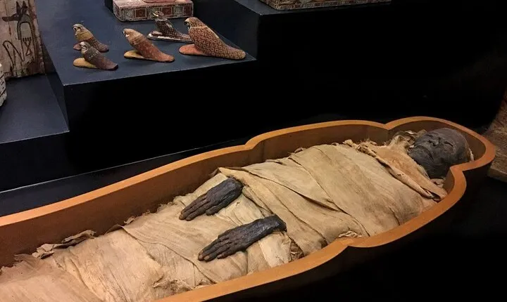 Private tour Luxor Temple, Karnak Temple,and Mummification Museum