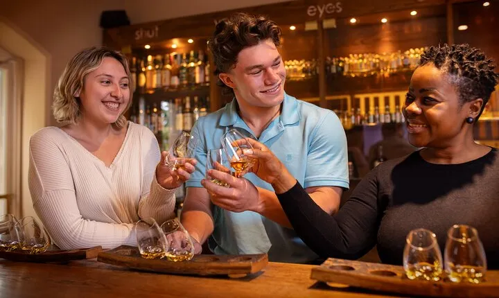 Dublin Irish Whiskey Museum and Gallery Guided Tour with Tasting