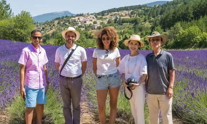 Provence Lavender Full Day Tour from Avignon