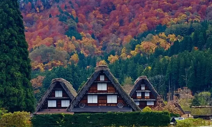 Takayama and Shirakawa Day Tour with Hida Beef Lunch from Nagoya