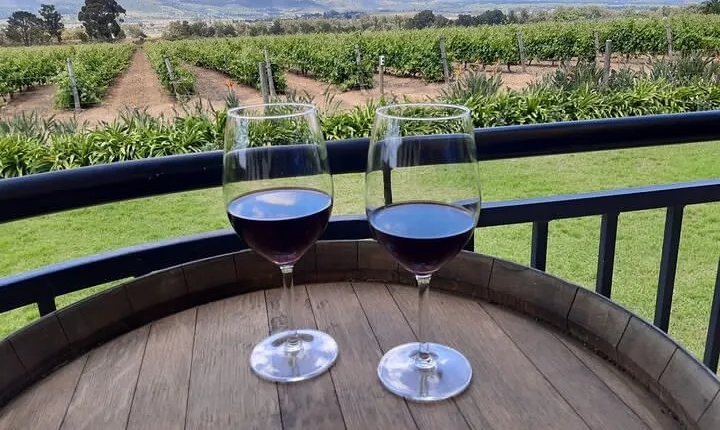 Private Tour of 3 Top Winelands with Wine Tasting from Cape Town