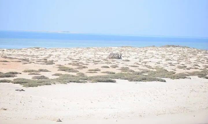 Coral Garden Snorkeling Sea Trip Experience & Lunch - Marsa Alam