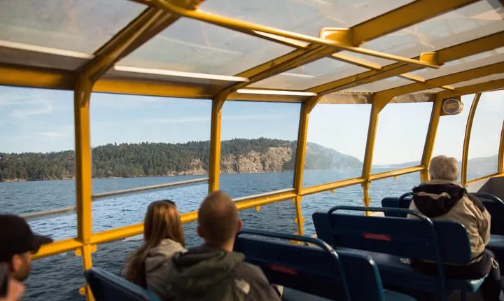 Whale-Watching Tour from Vancouver