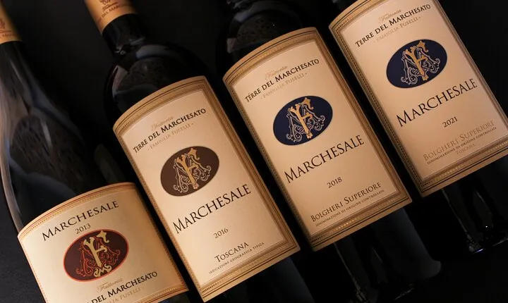 Retrospettiva di Marchesale Wine Tasting and Tour in Bolgheri