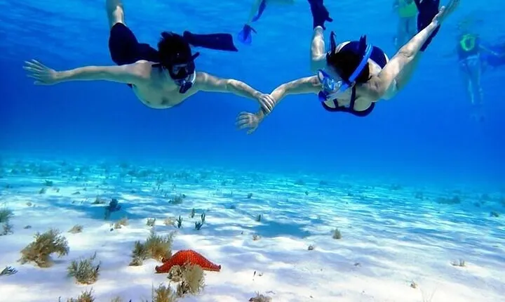 Private Tour in Cozumel El Cielo Sandbar and Reef Snorkeling