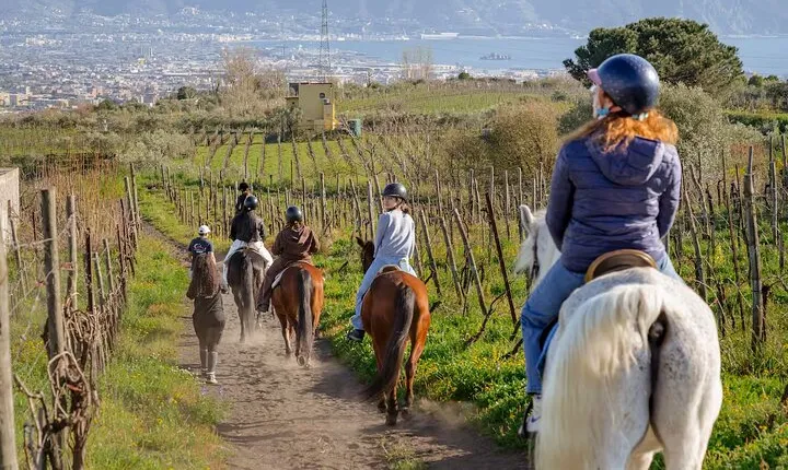 Horseback Riding on Vesuvius