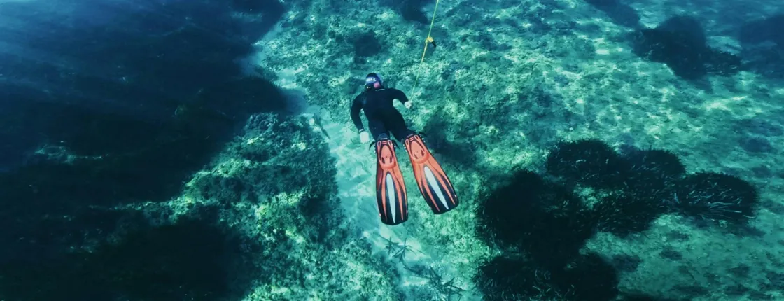 Snorkeling Tour with Certified Guides in Cambrils