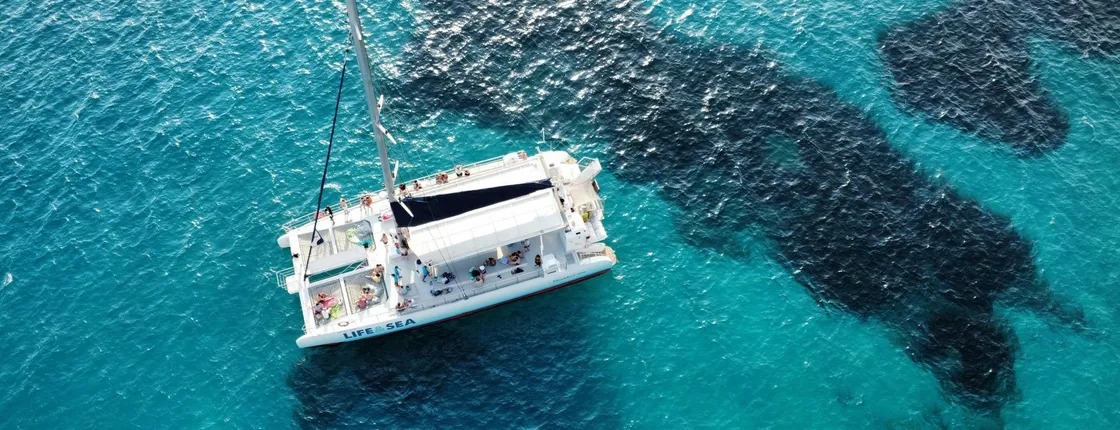 Palma Catamaran Tours by Life & Sea