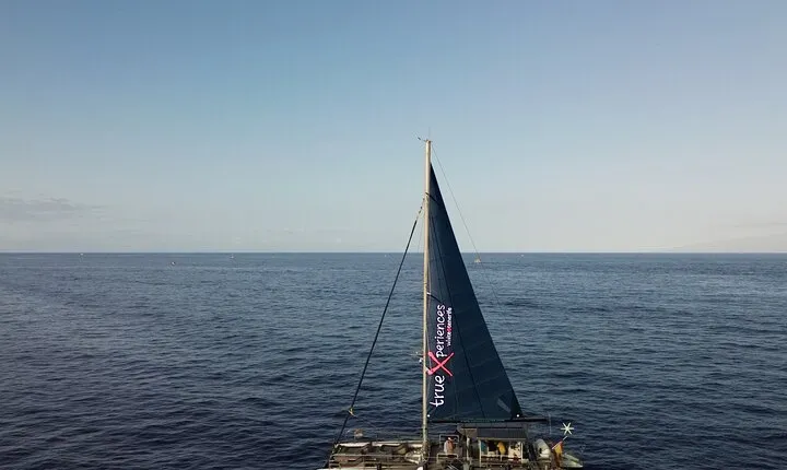 3-hour Whale and Dolphin Watching and Listening Tour