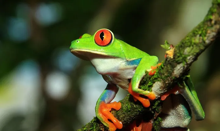 Photography Tour at Natura Eco Park