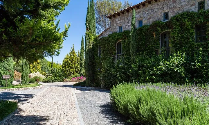 Vineyards, Wine Tasting and Pairing in San Miguel