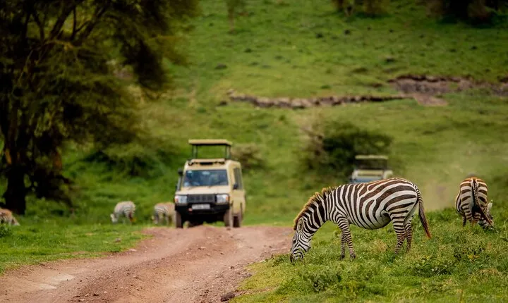 3 Days Private Budget Lodge Safari