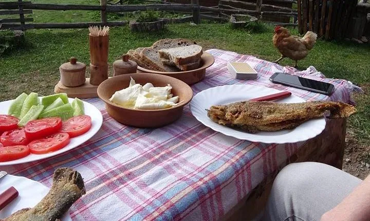 Cheese farm tour in the katun