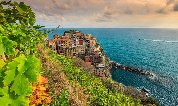 Cinque Terre Private Wine And Views Tour