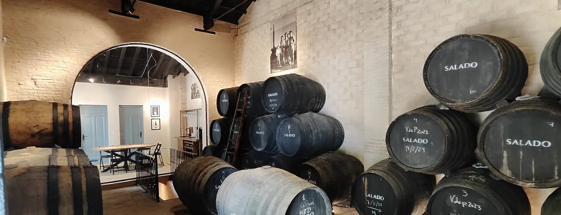 Half day trip to a winery from Seville