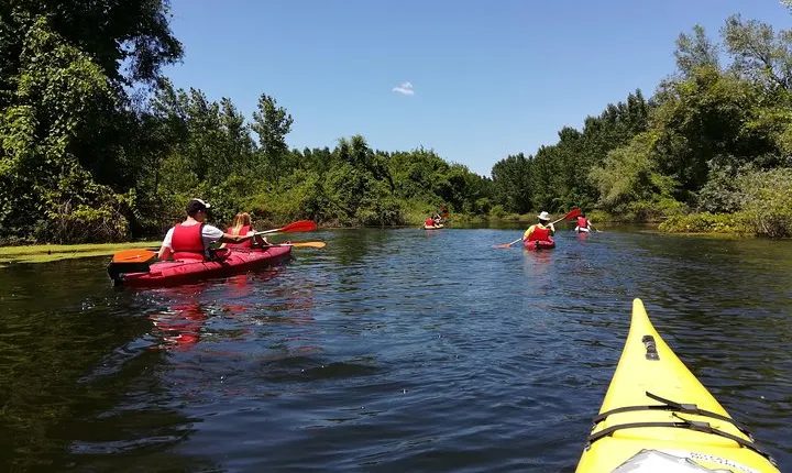 Belgrade Amazon Kayak Adventure