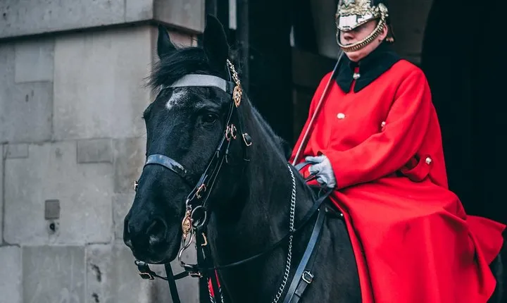 7 Secrets of London's animals