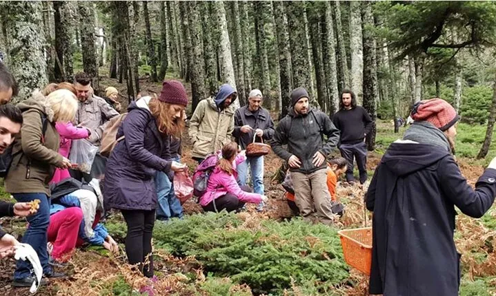 Mushroom Farm Tour with Lunch From Athens