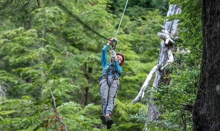 Canopy