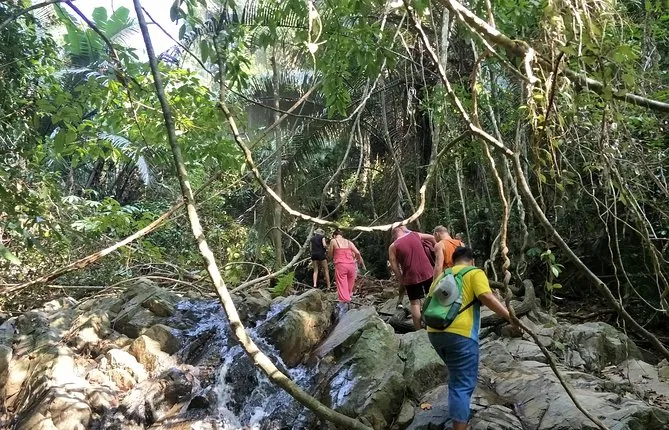 Jungle Trekking