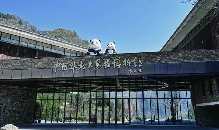 Chengdu Shuangliu International Airport: Private Transfer to/from Chengdu