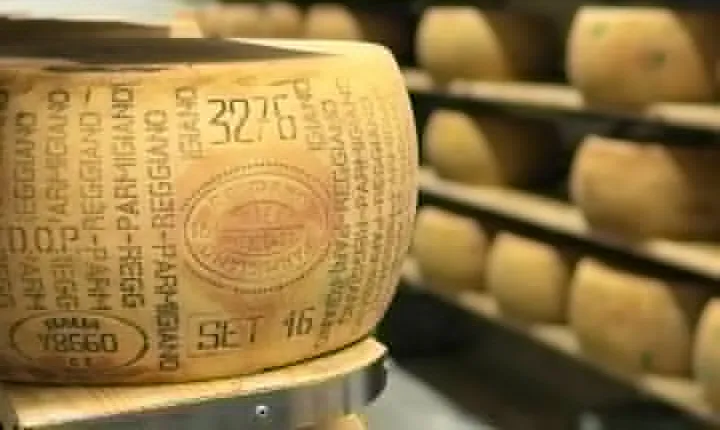 Parmigiano-Reggiano Tour and tastings