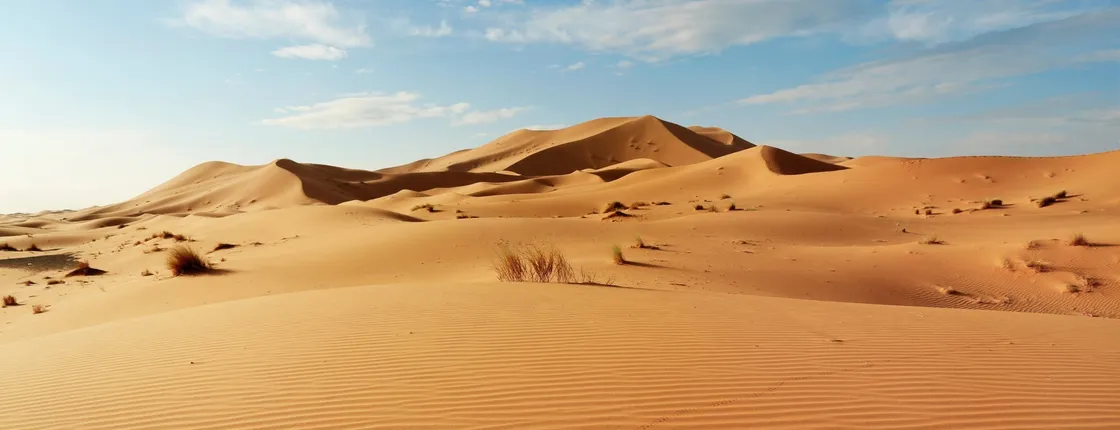 Half-day guided tour to Sahara sand dunes from Agadir