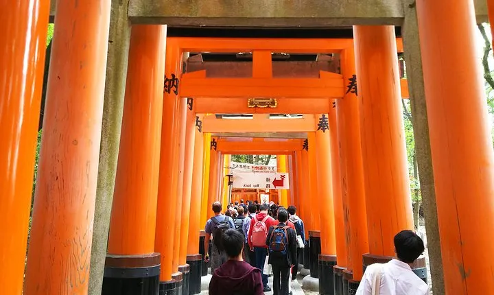 Kyoto Early Riser Platinum One-Day Walking Tour