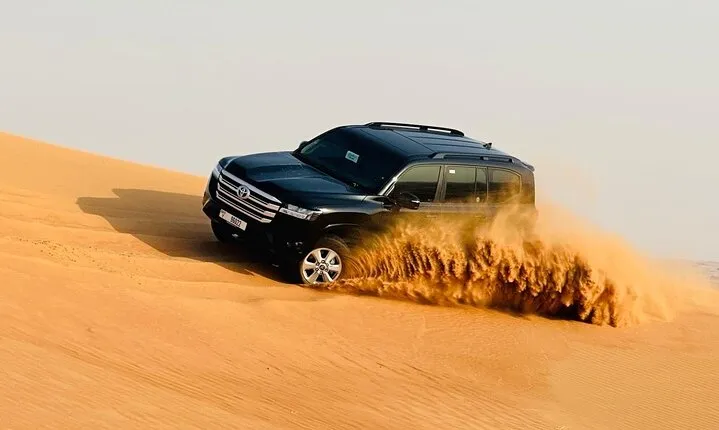 Evening desert safari with camel ride and BBQ dinner