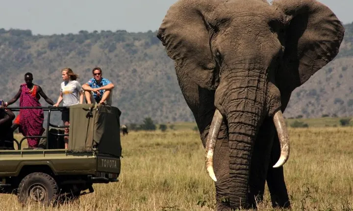 3 Day Full Board Safari Kruger National Park from Johannesburg