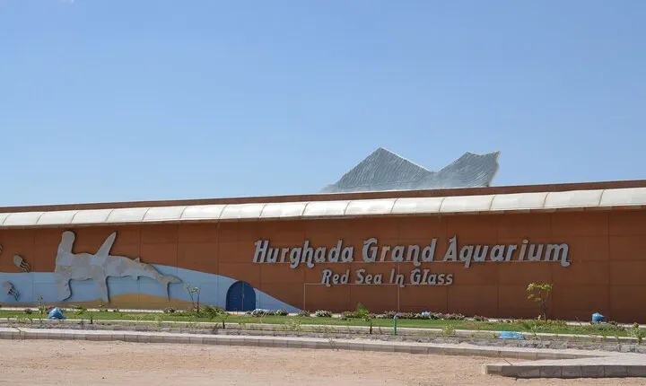 Grand Aquarium Discovery with Tickets & Transfer From Hurghada
