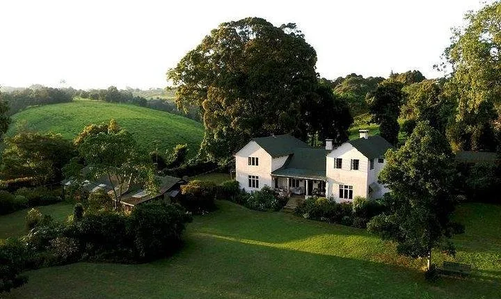 Day tour to Kiambethu tea farm in Limuru from Nairobi