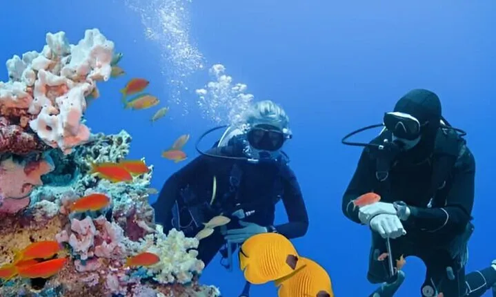 Professional 2 Stops Scuba Diving Full Day Boat Trip - Hurghada