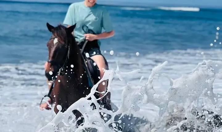Private Bali Horse ride