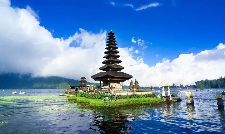 Bali Full Day Private Tour with Driver