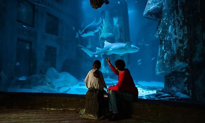 SEA LIFE London Aquarium Admission Ticket