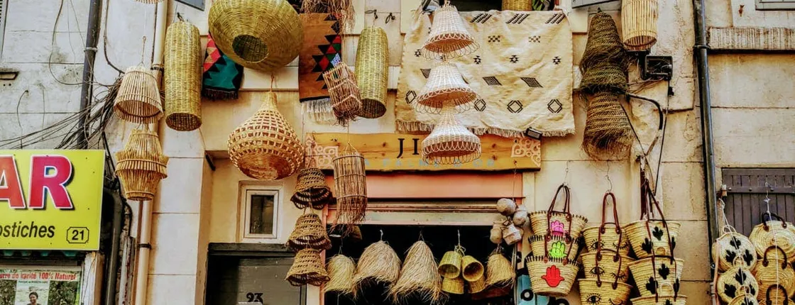 Tour of the Noailles district and its exotic market