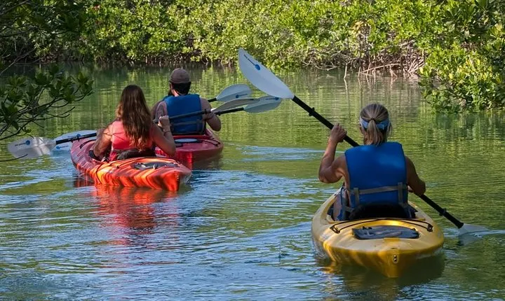 Key West Kayak Rental